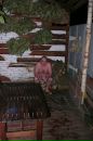 Фотография Войты Паши