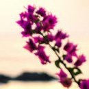 Κристина Μиронова фотография #43 (источник - https://vk.com/id154017682)