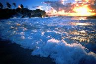 Фотография Абрамович Екатерины