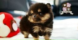 Діма Нiкiтiн фотография #13 (источник - https://vk.com/id80070430)