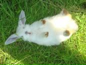 Фотография Тетериной Ольги