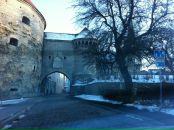 Антон Догадаев фотография #39 (источник - https://vk.com/id307002)