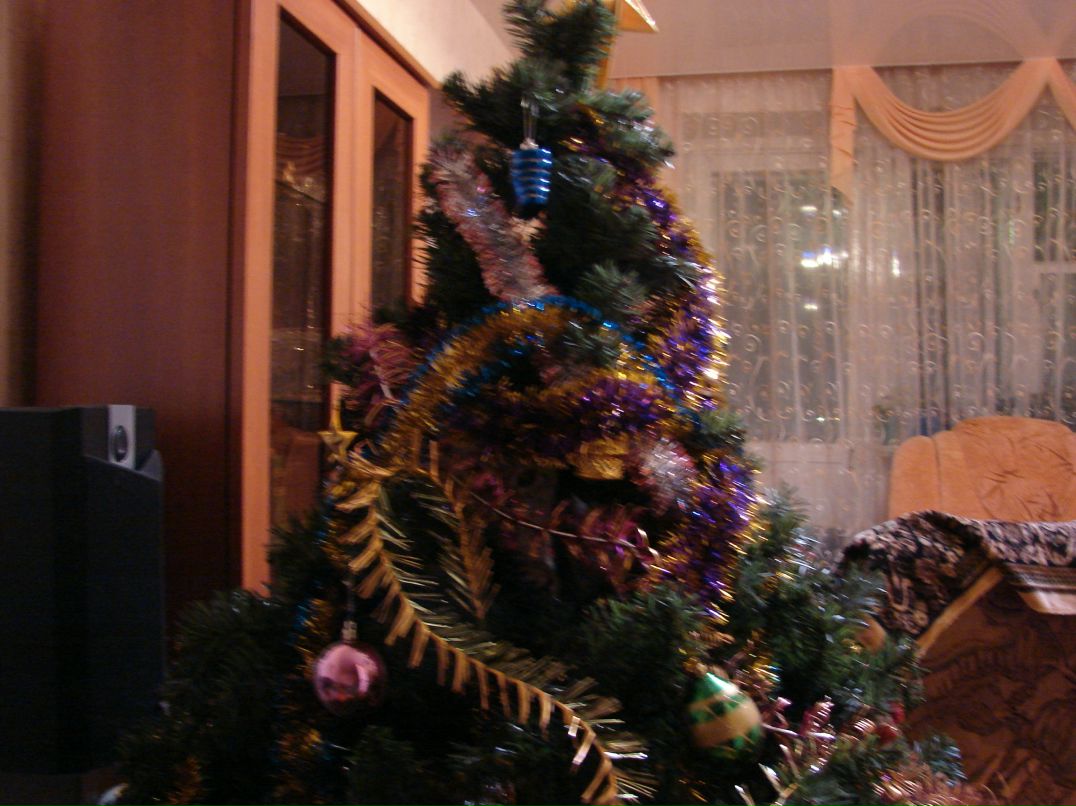 Игорь Огородников фотография #9