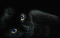 Лідуся Федишин фотография #46 (источник - https://vk.com/id160740531)