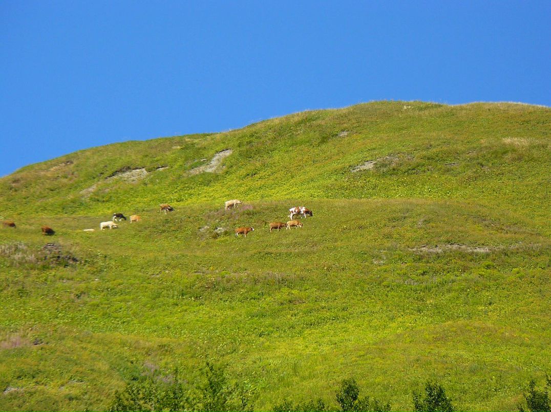 Дмитрий Рочев фотография #37