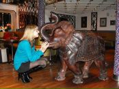 Фотография  