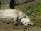 Фотография Гороненковой Юлии