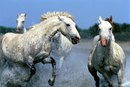Οлеся Κудрявцева фотография #8 (источник - https://vk.com/id169427654)