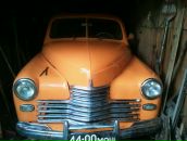 Фотография Любко Дарья