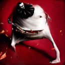 Яніна Гладченко фотография #14 (источник - https://vk.com/id9252099)