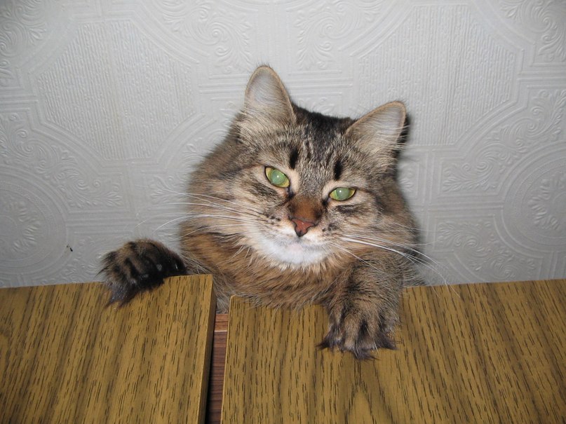 Иван Мартыненко фотография #10