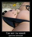 Діна Никифорова фотография #49 (источник - https://vk.com/id69910692)