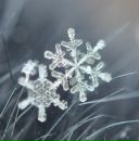 Фотография Олеси Фофяки