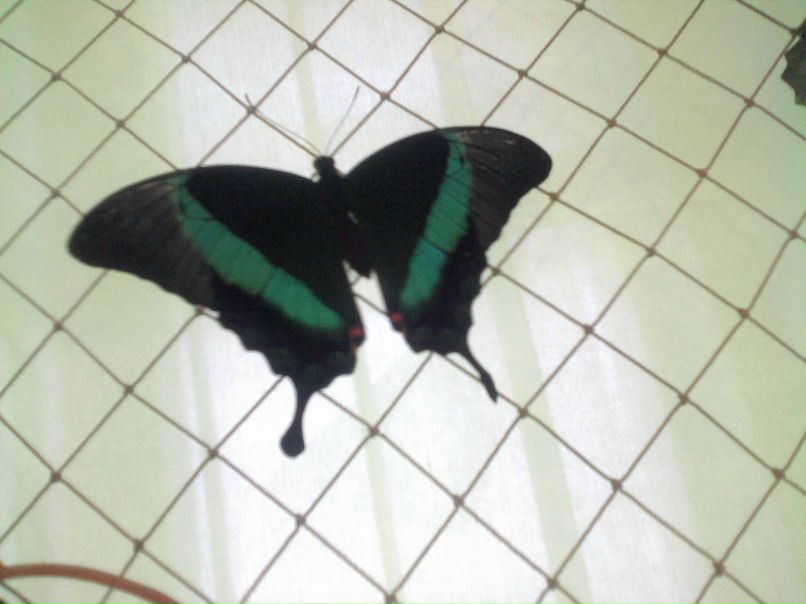 Катя Клименко фотография #38