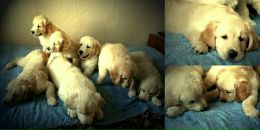 Діма Шевчук фотография #29 (источник - https://vk.com/id42200010)