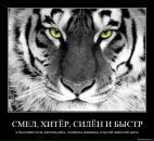 Фотография Малова Сергея