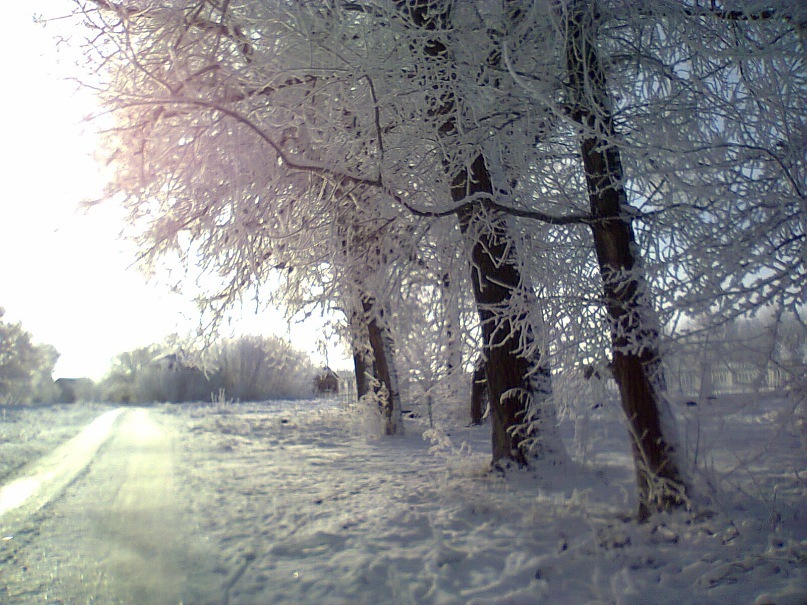 Света Онищенко фотография #42