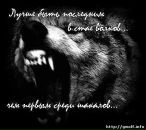 Саша Лисицын фотография #25 (источник - https://vk.com/id563974)