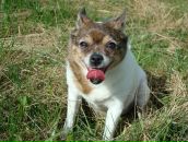 Фотография Ворониной Нины