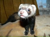 Фотография Губиной Светланы