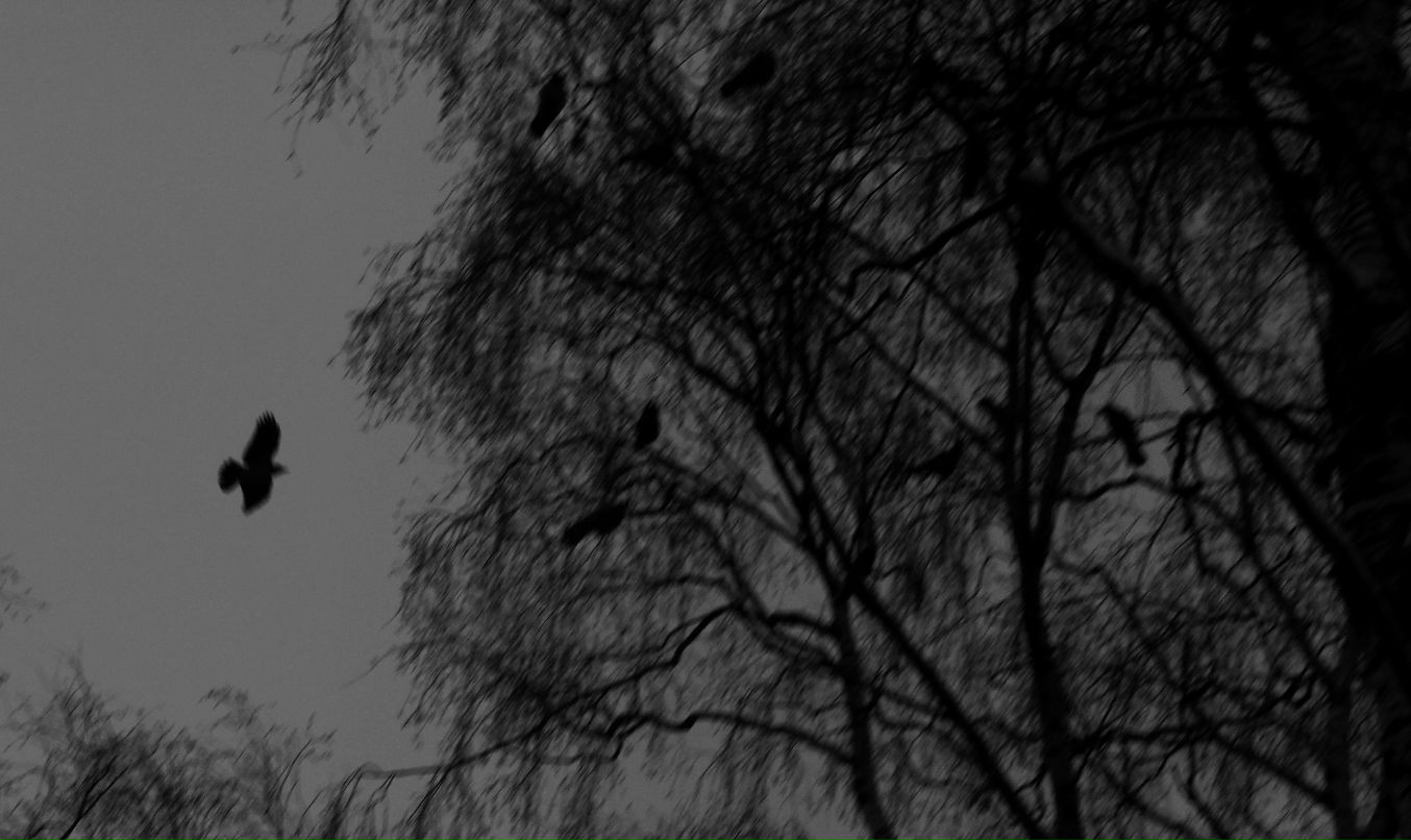 Дарья Базанова фотография #12