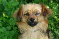 Фотография Мельника Вани