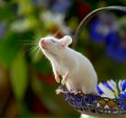 Фотография Ткачёвой Анны