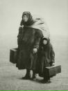 Фотография Шевченко Иришки