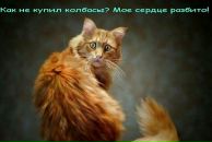 Діана Гуцул фотография #29 (источник - https://vk.com/id85573535)