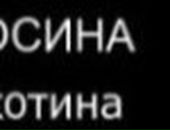Вадім Пожарнік фотография #48 (источник - https://vk.com/id89720309)