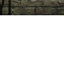 Андрій Бортник фотография #37 (источник - https://vk.com/id103194868)