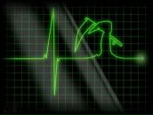 Юра Ціфра фотография #41 (источник - https://vk.com/id132607017)