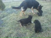 Михайло Пілавка фотография #9 (источник - https://vk.com/id30149017)