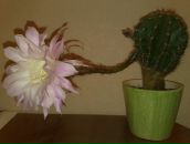 Фотография Мурашко Евгении