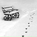 Фотография Данодиной Юлии