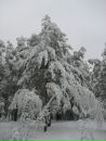 Виктор Долина фотография #40 (источник - https://vk.com/id6540682)