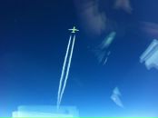 Дмитрий Пономарев фотография #4 (источник - https://vk.com/id410176)