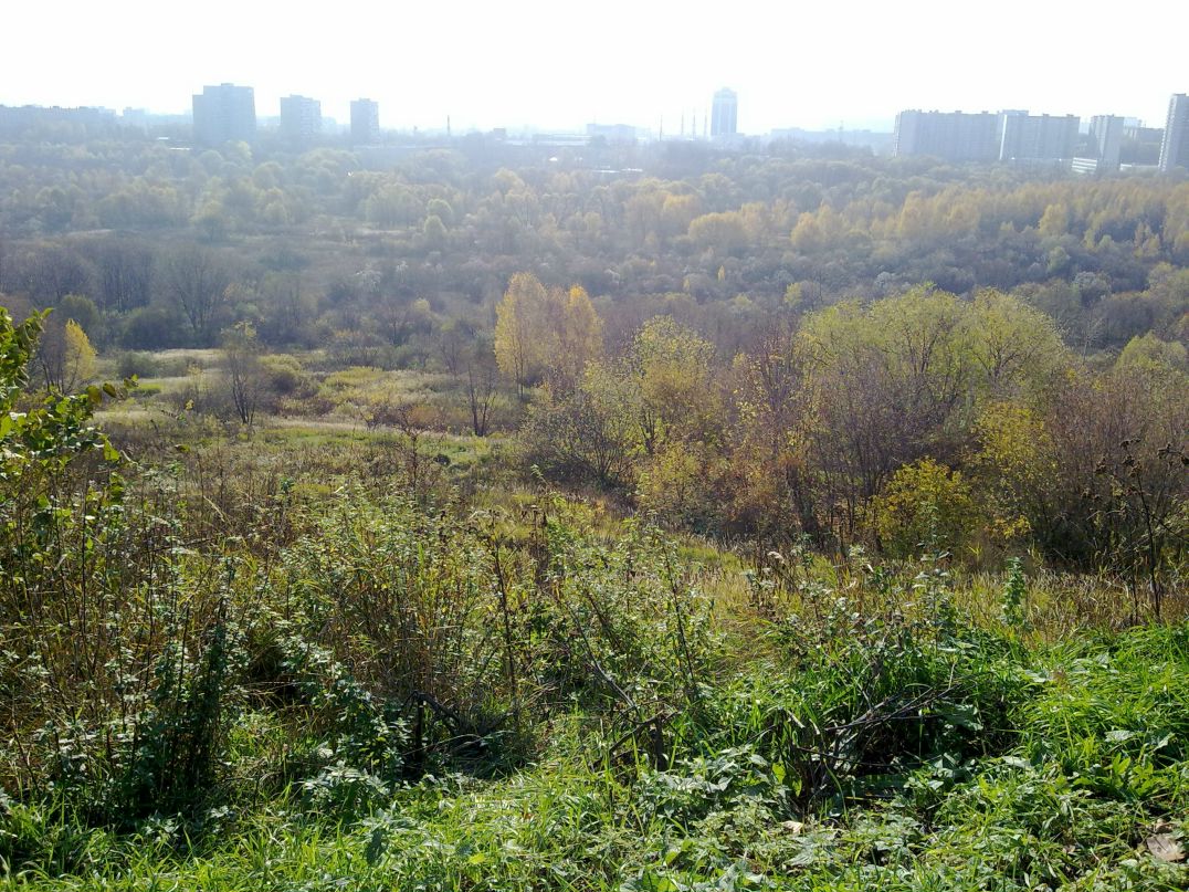 Дима Мокроусов фотография #22
