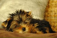 Еміль Гачаєв фотография #30 (источник - https://vk.com/id71097974)