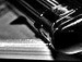 Віталій Мельник фотография #10 (источник - https://vk.com/id158845486)