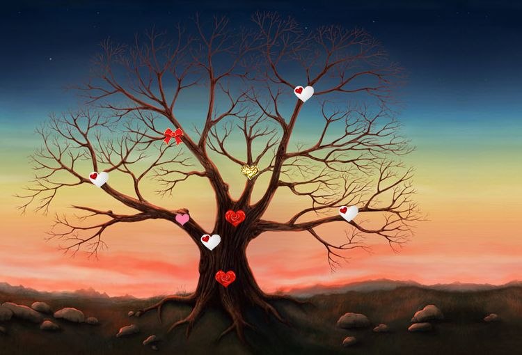 Элис Каленн фотография #22