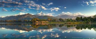 Фотография Никифорова Ольга