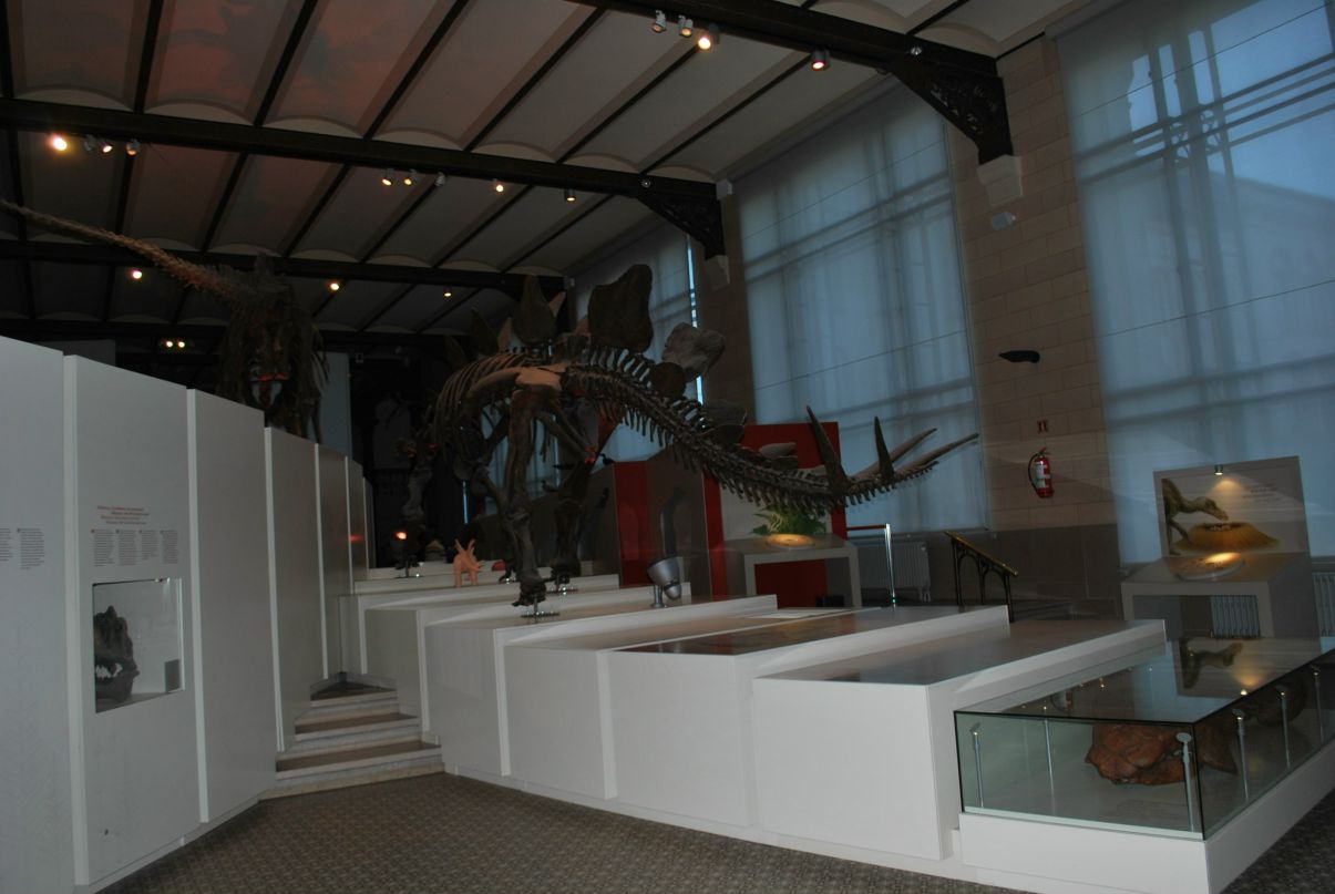 Алекс Андр фотография #47