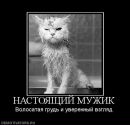 Фотография Кудряшова Ярослава