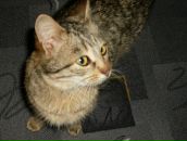 Ірина Бердичевська фотография #46 (источник - https://vk.com/id24145785)