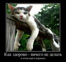 Віталій Андрійчук фотография #25 (источник - https://vk.com/id161394008)