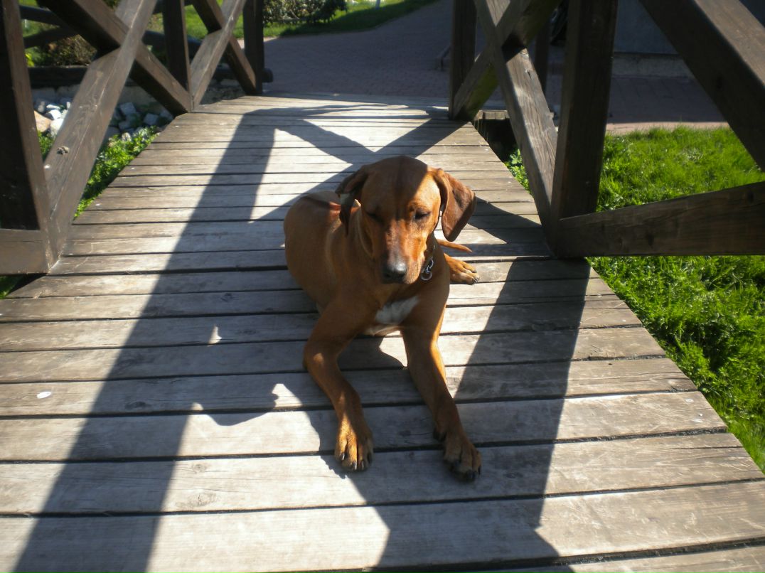 Иван Быков фотография #9