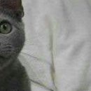 Вова Іщенко фотография #20 (источник - https://vk.com/id152020108)