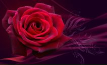 Фотография Овчаровой Ольги