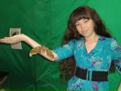 Фотография  